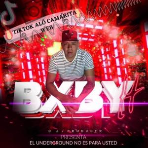 Tiktok alo camarita web