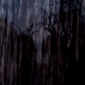 八月一日雨[Prod.shimmie boy]