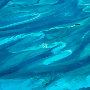 灵魂相认（cover. Hins)