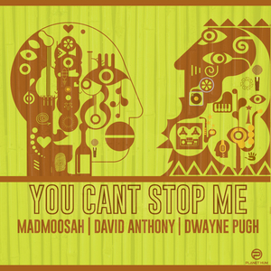 You Can't Stop Me (David Anthony House Remix Instrumental)