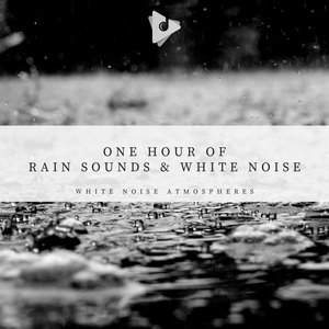 White Noise Rain