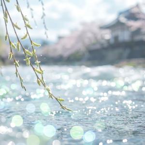 早春賦 (Japanese Relaxing Koto & Shakuhachi)