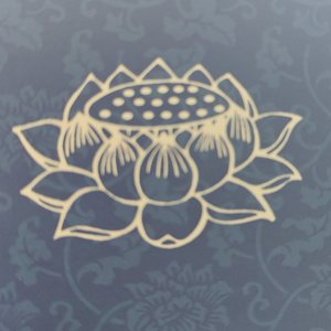 金刚经第十五品.mp3