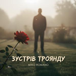 Зустрів троянду