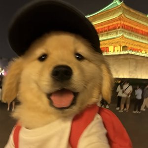 时隙共振