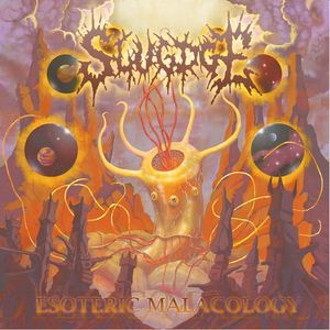 The Spectral Burrows