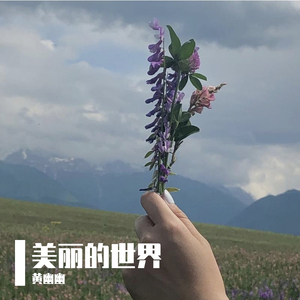 学会习惯独自生活