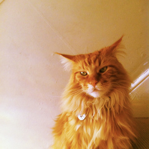 Selfish Girls Stay Thin