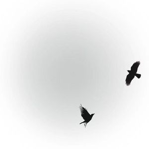 束缚（Prod EVOMUSIC ）