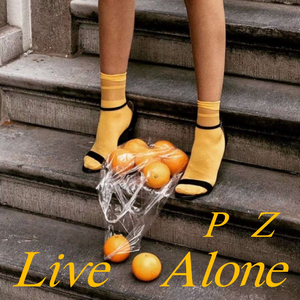 Cha Red（茶瑞）-可惜没如果（Whose PZ Remix）