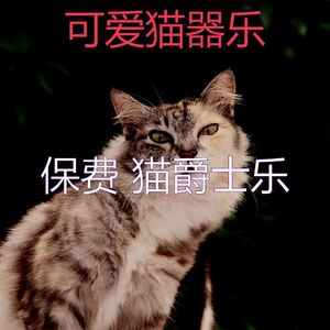 抚慰的猫在家回忆