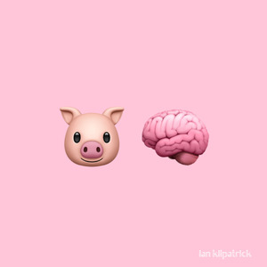 Pig Brain