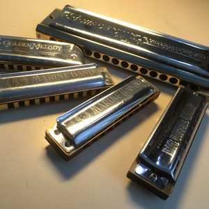 紫色激情 Purple Passion（半音阶口琴）（翻自 Diana Boncheva）