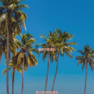 适合水疗绝妙的音乐