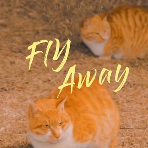 Fly away