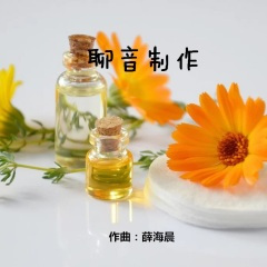 美容院养生音乐 (经典纯音乐)