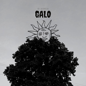 Galo