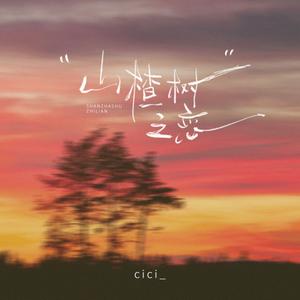 山楂树之恋 (DJ锋仔版)