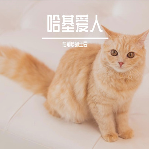 九天爱人