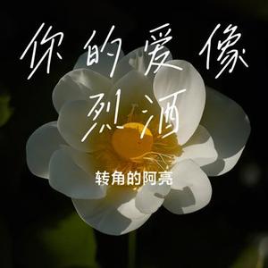 你的爱像烈酒