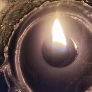 Something I Can Never Have