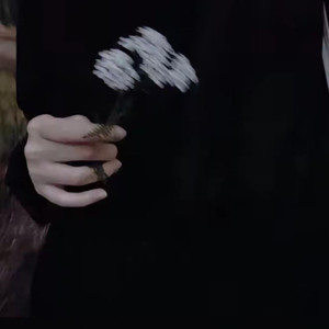 热铁皮房顶的夏天 (Live)