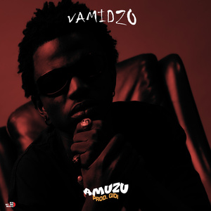 VAMIDZO