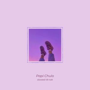 Papi Chulo(tik Slowed) (Slowed) (Slowed)