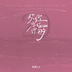 欢迎光临你的20岁