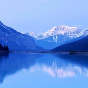 我救自己万万次 怔怔进草绝不动摇