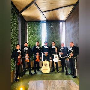 Ni tú, ni yo, Mariachi 100 por ciento