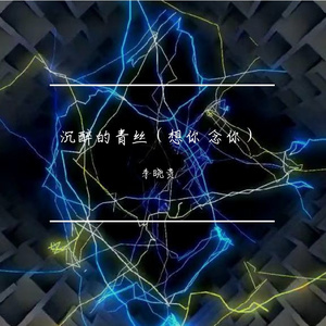 你的大表哥曲甲-沉醉的青丝（想你 念你）（李晓贵 remix）