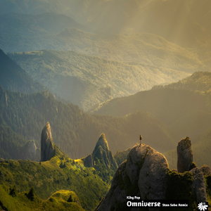 Omniverse (Stan Seba Remix)