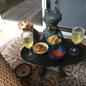 if everybody does it can it be wrong?