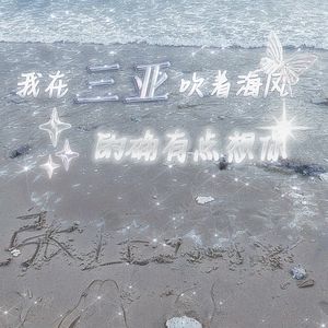 我在三亚 吹着海风 的确有点想你