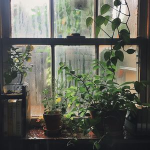 自然催眠·山谷溪流白噪音