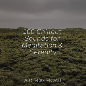 Solitudinal Harmonies