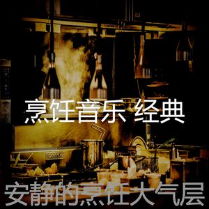 安静的在家做饭声音