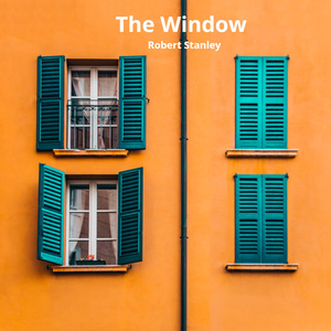 The Window