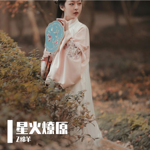 星火燎原