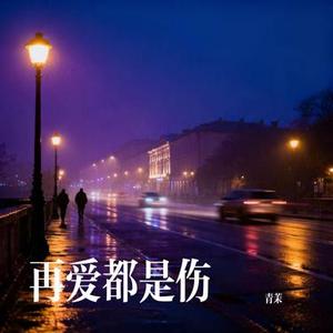 伤痕 (Cover 赵乃吉)