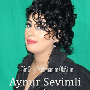 Bir Gece Mehmanım Olaydın (Remix)