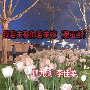 我若未娶你若未嫁 (第五部)
