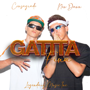 Gatita Fina