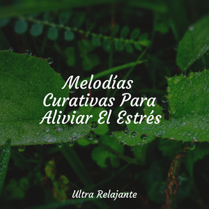 Himnos De La Pasión Por Los Viajes