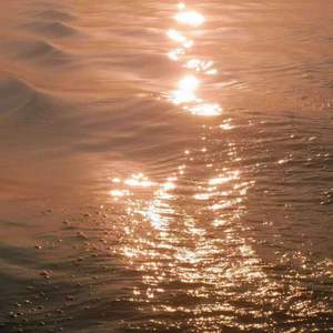 我的姑娘 她在远方