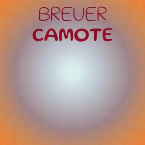 Enjoy Uncontaminated