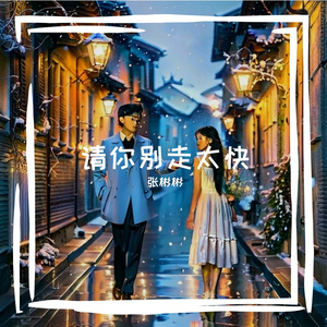 请你别走太快
