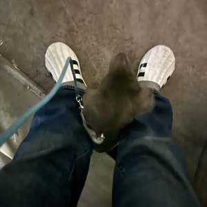 四季上班与恋爱