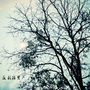 落日当空 (小提琴)